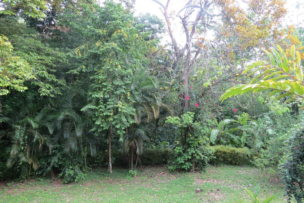 Apartamento Karibu Manuel Antonio Room photo